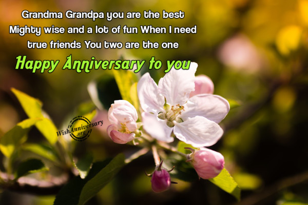 Grandma Grandpa You Are The Best-wa304